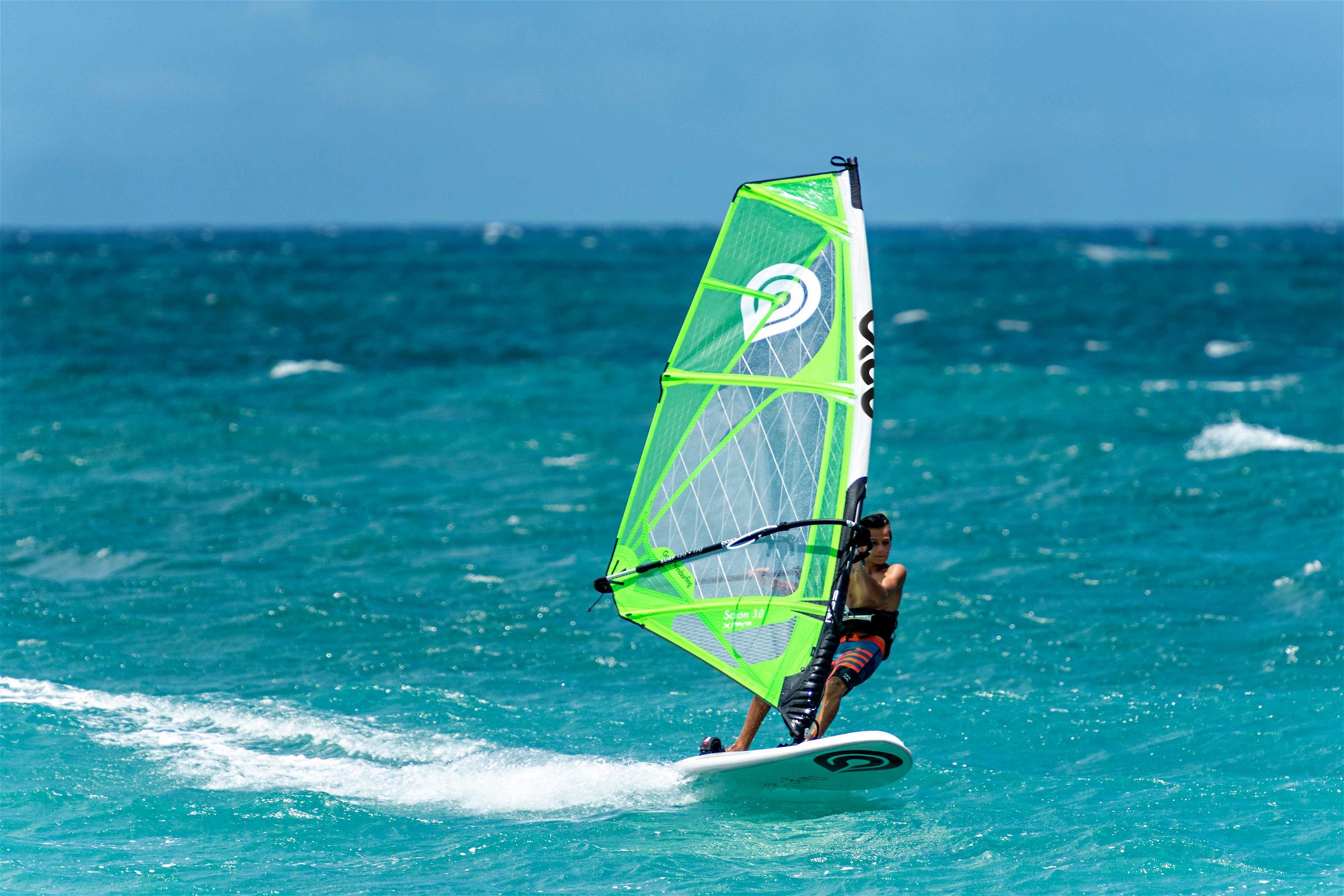 Windsurfing - Sails - Scion Pro
